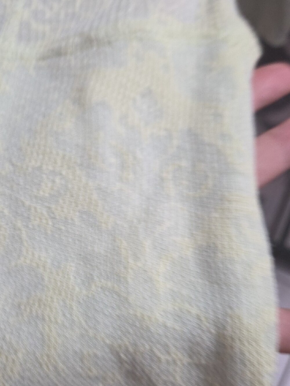 Free People Pale Green Lace-Texture Turtleneck Long Sleeve Top - Picture 5 of 6